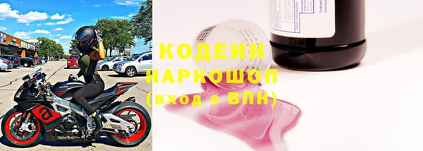 спиды Бородино