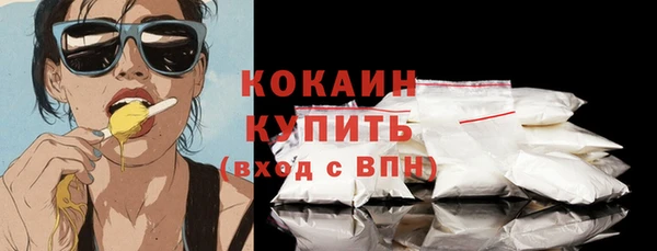 спиды Бородино