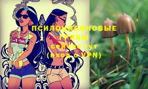 mix Богородск
