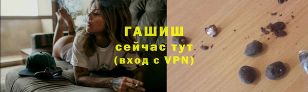 спиды Бородино
