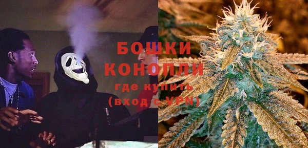 крисы Белоозёрский