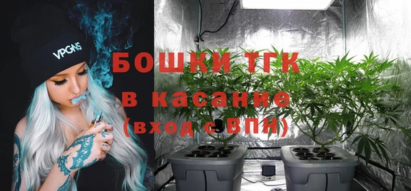 mix Богородск