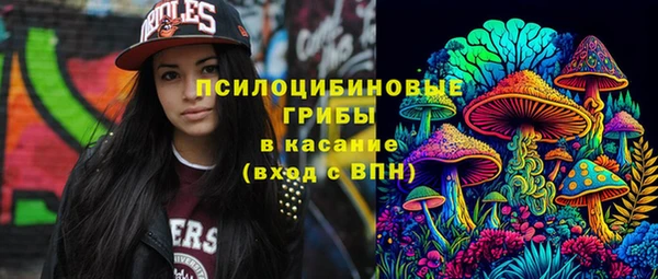 2c-b Богданович